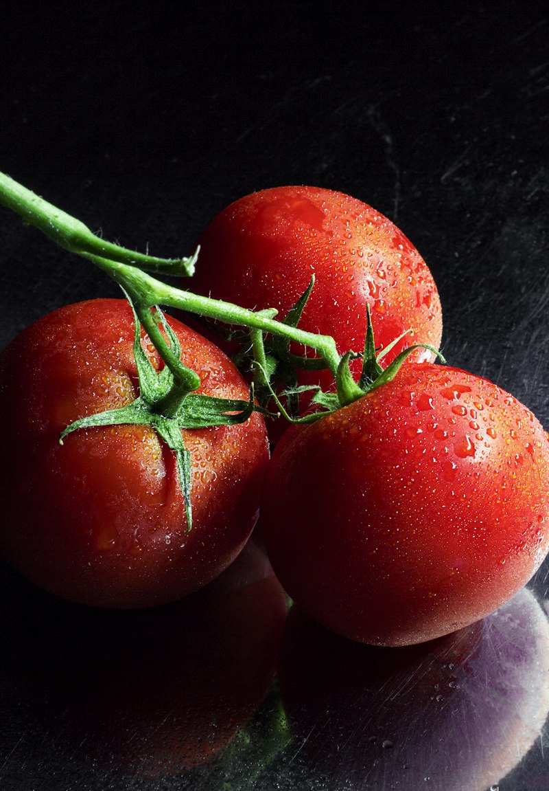 Processing Tomato
